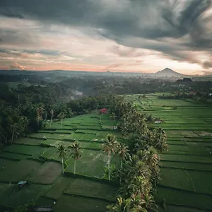Ayu Duwur Beji Pensjonat